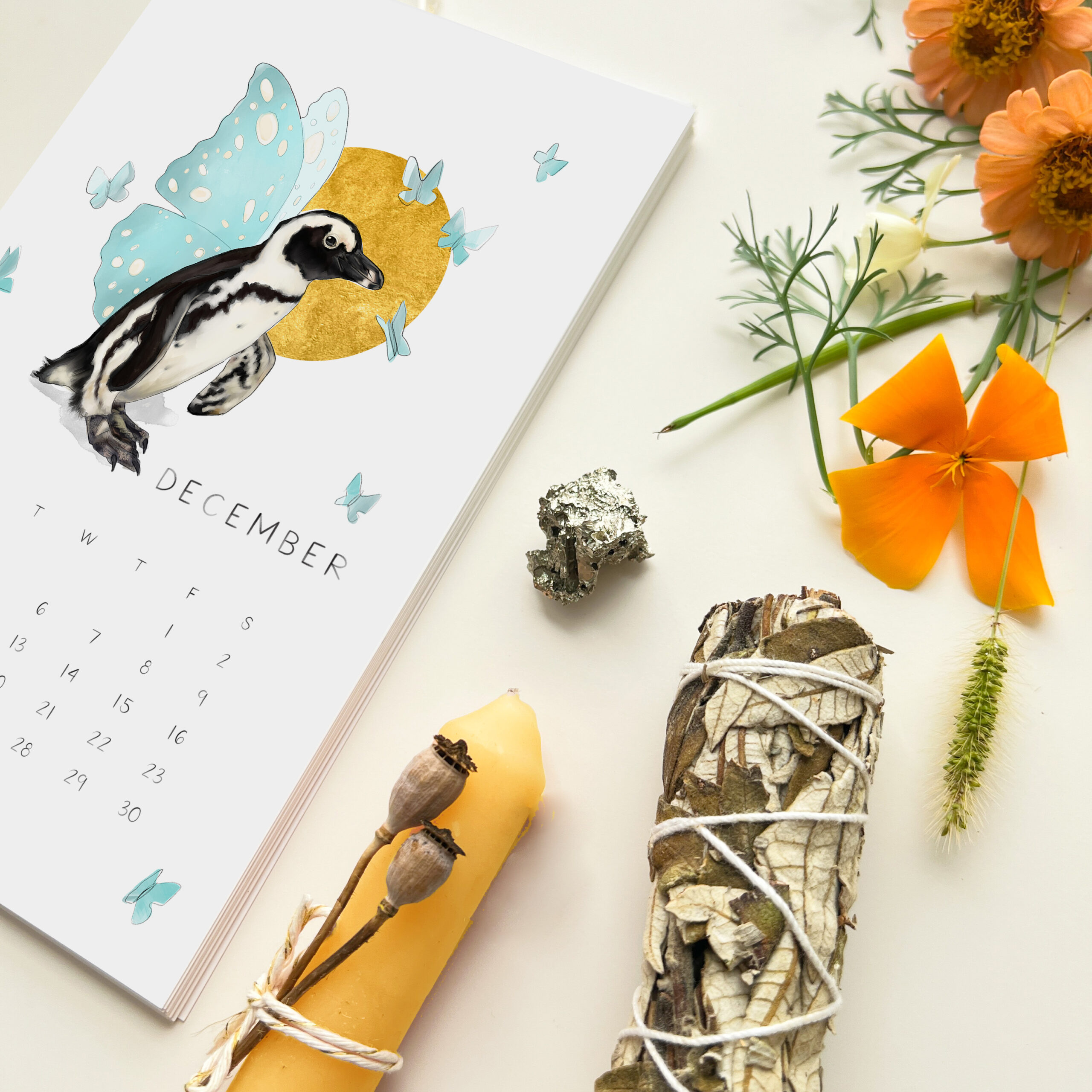 Whimsical Calendars Darcy Goedecke